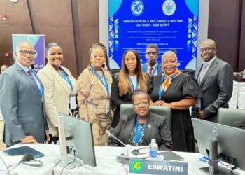Eswatini officials attend the SADC Council of Ministers meeting in Harare, focusing on regional economic development and policy review. Photo: Ministry of Economic Planning and Development
