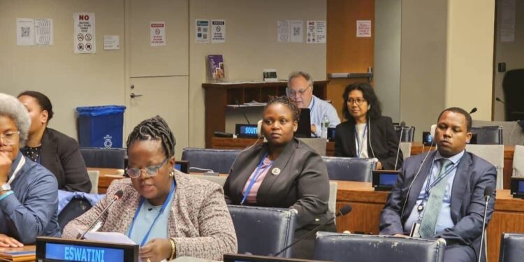 Delegates attend the 58th UN Commission on Population and Development in New York.