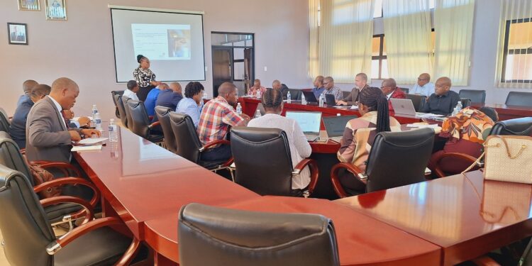 Representatives of faith-based institutions engage with ESHEC officials during the stakeholder meeting in Eswatini. Photo: ESHEC