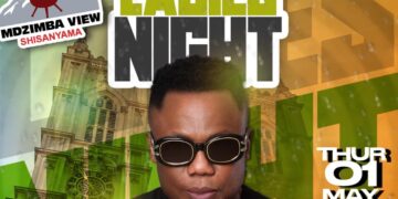 Mdzimba view ladies's night event with DJ Tira flyer