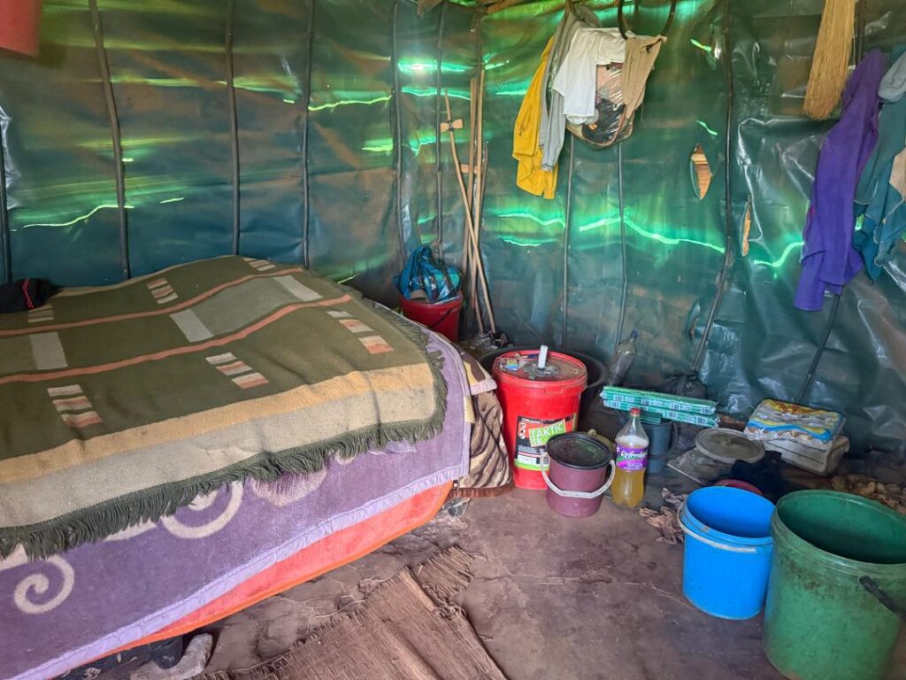 The deteriorating wooden structure where 72-year-old Mkhulu Magele Shabangu and his teenage son live, with plastic sheets covering holes in the walls and buckets placed to catch leaking rainwater.