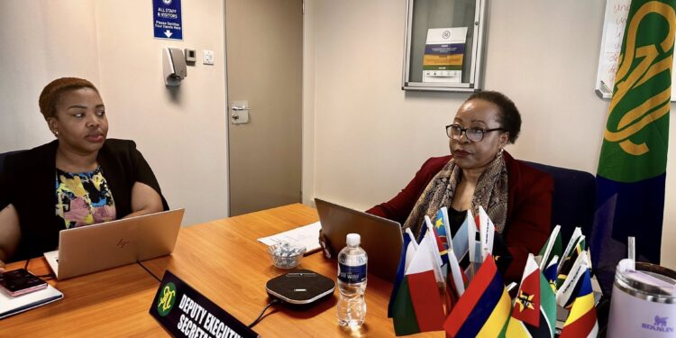 SADC Ministers during the virtual Extraordinary Meeting on Disaster Risk Management held on May 12-13, 2025.