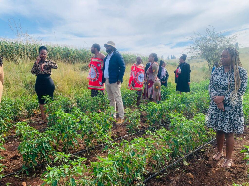 Officials from the Ministry of Sports, Culture and Youth Affairs and Members of Parliament tour youth-led projects funded by the Youth Enterprise Revolving Fund (YERF) in the Manzini region.