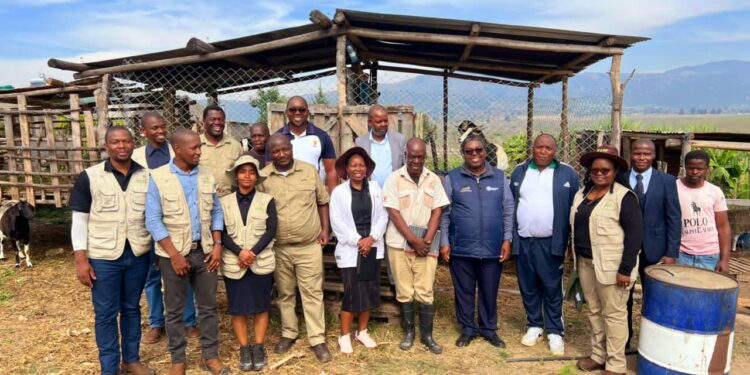 Officials from the Ministry of Agriculture pose with EADF-supported farmers during a monitoring visit to various agribusiness sites across Eswatini.