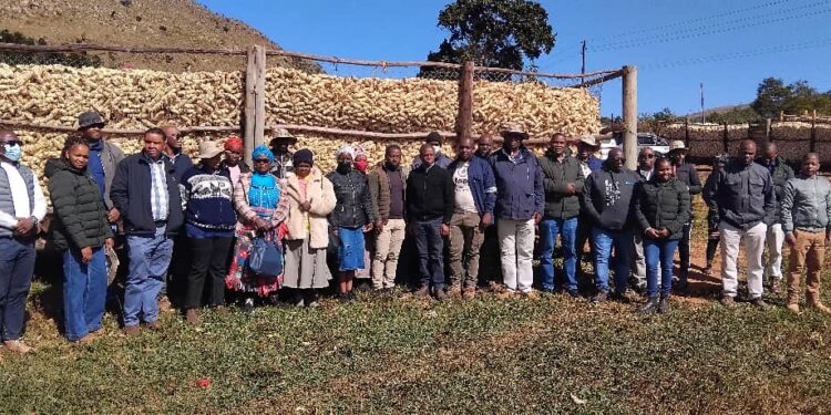 EWADE leadership on the ground – Board members, executives, and senior managers of EWADE pose with local farmers during a field visit to Mahlangatsha