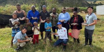 Farmers and officials from the Taiwan Technical Mission pose with a fresh harvest of genetically improved Mozambique tilapia at Shiseweni, celebrating a successful milestone in Eswatini’s aquaculture development.