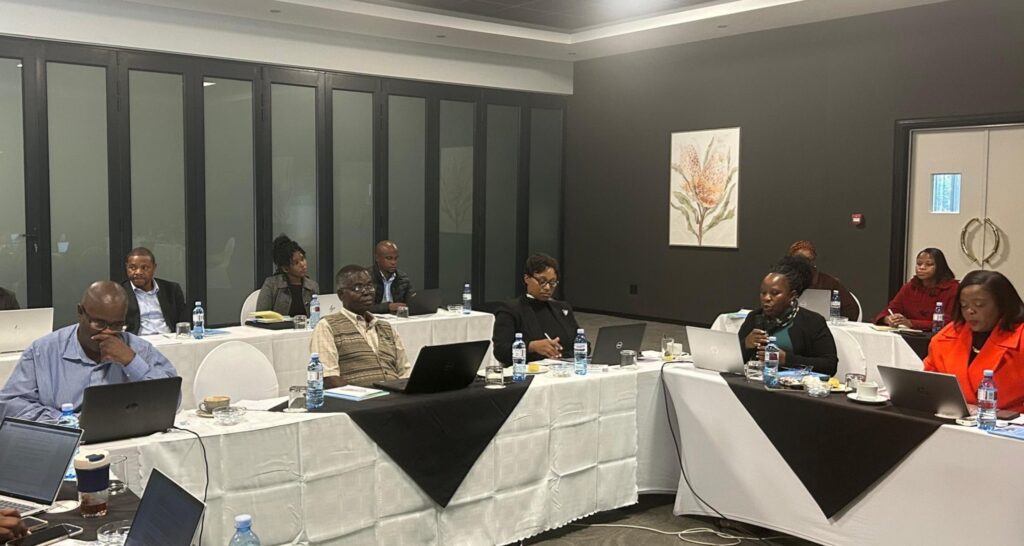 Delegates from various government and financial institutions during discussions on the National Financial Inclusion Strategy 2024–2028.