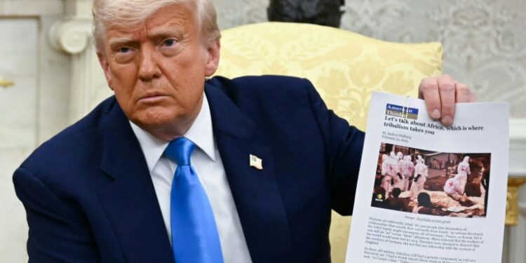US President Donald Trump showed a sheaf of documents that he said was evidence of a 'genocide' against white farmers in South Africa (Jim WATSON)