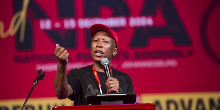 EFF leader Julius Malema. (Delwyn Verasamy/M&G)