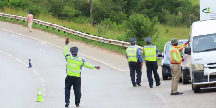 Royal Eswatini Police officers man a roadblock, ensuring road safety. (Undated photo)