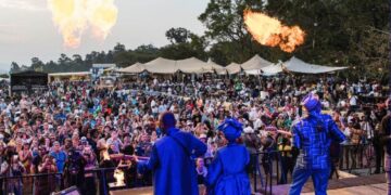 Festivalgoers dance under the stars during a main stage performance at a previous edition of MTN Bushfire