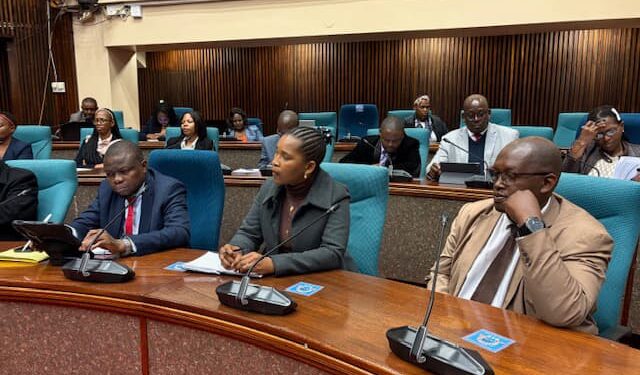 The PAC fined the Ministry of Labour and Social Security E400 for matters that have allegedly delayed for 12 years (pic: Khulekile Mhlanga)