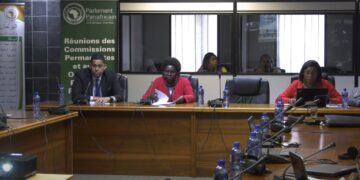 Screengrab from a video of the Pan-African Parliament’s Committee on Trade, Customs, and Immigration during the February session in Midrand. Photo: Pan-African Parliament