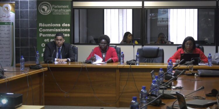 Screengrab from a video of the Pan-African Parliament’s Committee on Trade, Customs, and Immigration during the February session in Midrand. Photo: Pan-African Parliament