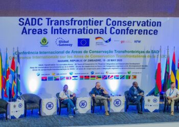 Panel discussion at the SADC TFCA International Conference focusing on community conservation and sustainable financing. Photo by SADC