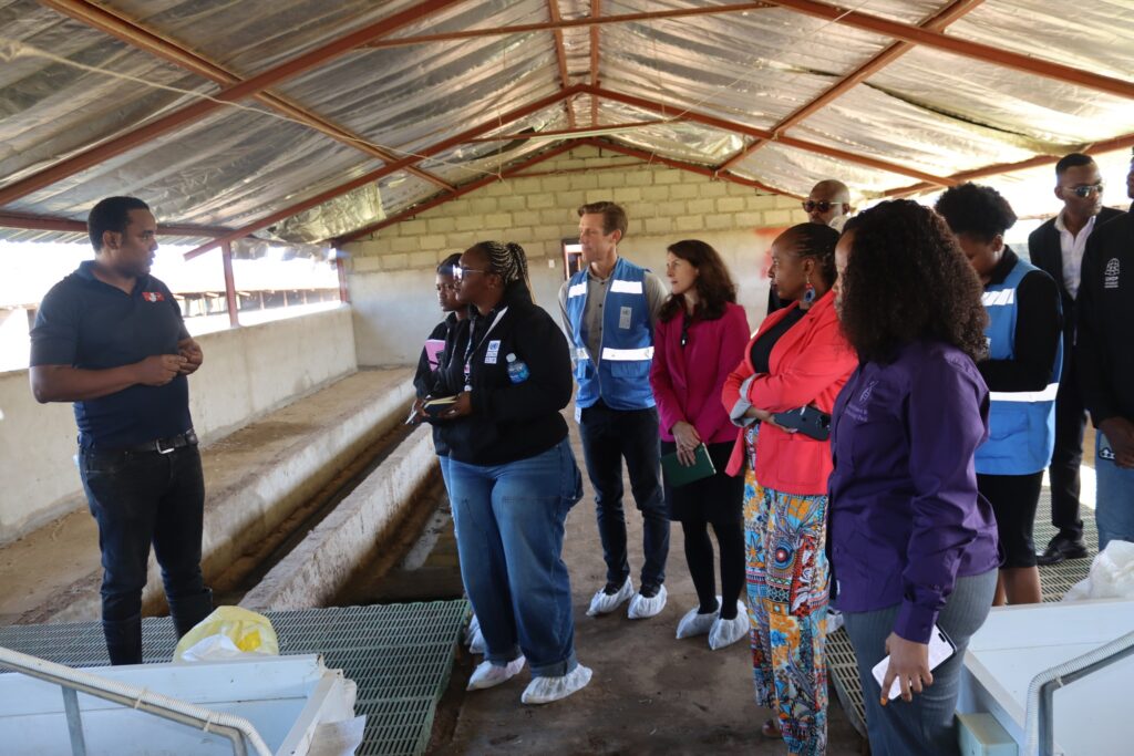 Entrepreneur Duncan Dlamini takes the UNDP delegation around his piggery farm. UNDP/Mantoe Phakathi