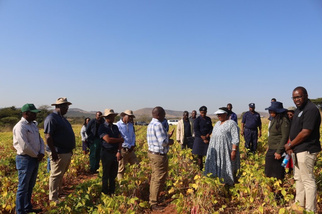 Deputy Prime Minister Thuli Dladla tours bean fields at Paradise Farm in Shiselweni, a key site under EWADE’s Hamba Ubuye Project aimed at enhancing food security in Eswatini.