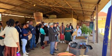 Lead farmers from across Eswatini receive certificates at UNESWA Luyengo Campus after completing training on cost-effective livestock feeding strategies.