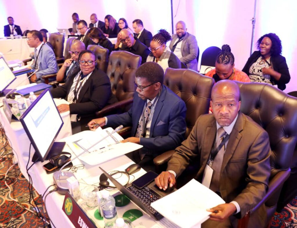 Eswatini delegates at the SADC officials' meeting in Victoria Falls