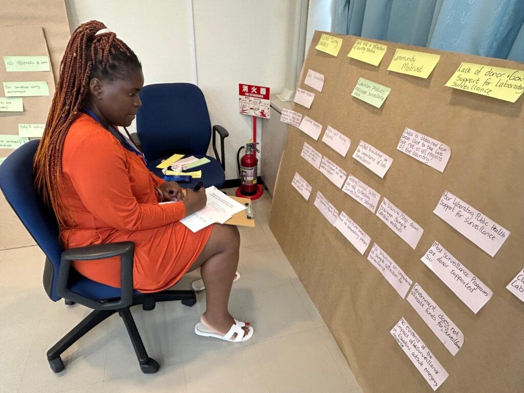 Ms Mawelela working on her “problem tree” for her action plan to be implemented upon her return to her home country.