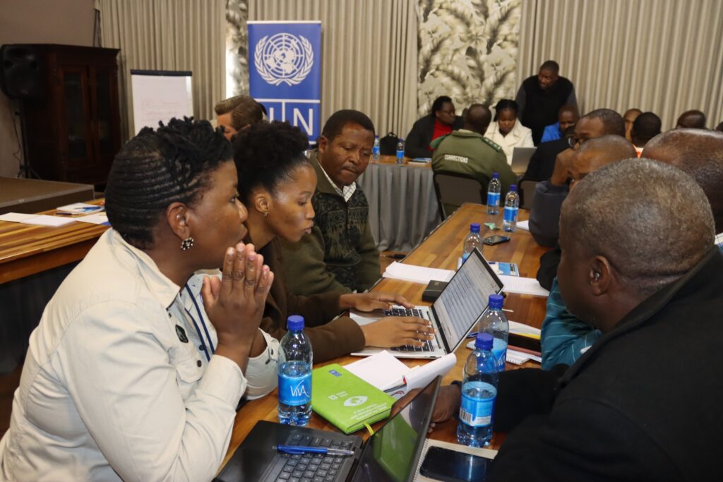 Stakeholders from government, forestry companies, and local communities engage during the fire preparedness meeting held at Phumula Guest House in Nhlangano.