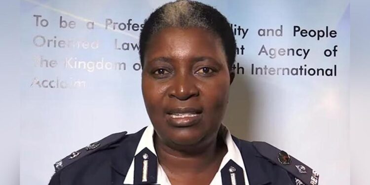 Pedestrian knocked dead by bus