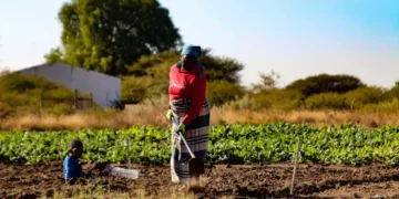 Although South Africa's food is very safe and nutritious, food insecurity is still widespread on a household level. Photo: Supplied/Food For Mzansi