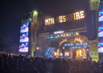 Fans cheer as Zee Nxumalo lights up the MTN Bushfire stage Photo: Adekunle Owolabi
