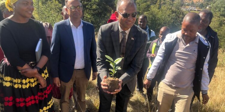 High Commissioner of India to Eswatini, H.E. Mr. N. Ram Prasad, participates in a tree planting campaign at Mpolonjeni on the eve of World Environment Day. (Photo Credit: High Commission of India in Mbabane, Eswatini)