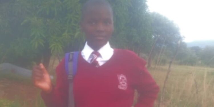 Missing teenager Siphosethu Thandolwethu Mshololo (15), last seen on 29 May 2025 in Nyakatfo.