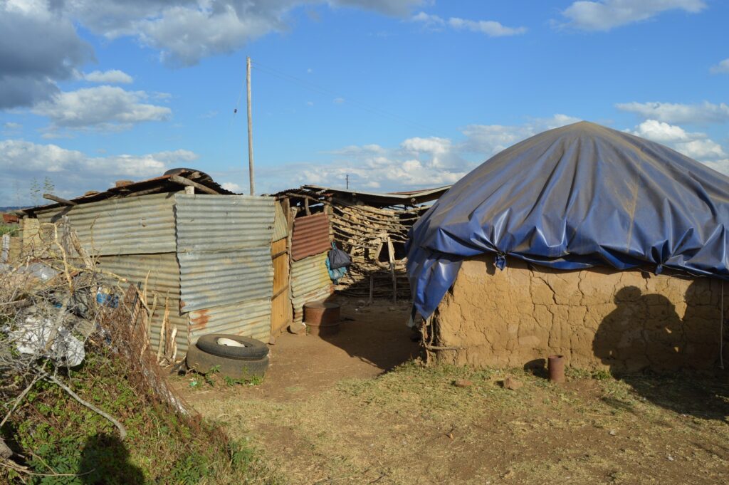 The Nkambule homestead, where Sehlephi lives with her four grandchildren, shows signs of wear with ageing walls, limited space, and no secure fencing.