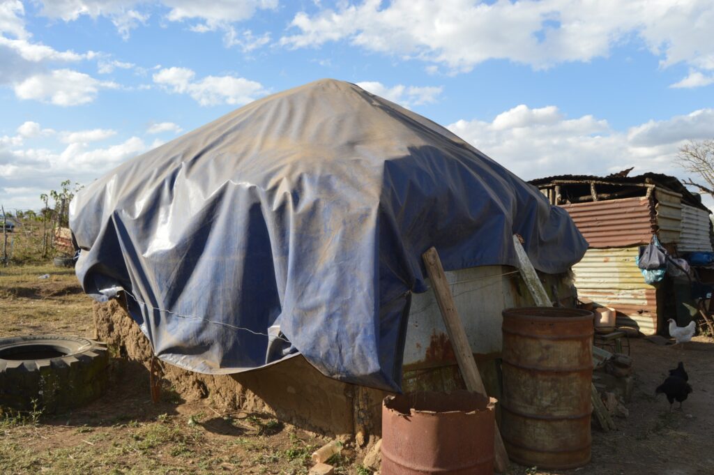 The Nkambule homestead, where Sehlephi lives with her four grandchildren, shows signs of wear with ageing walls, limited space, and no secure fencing.