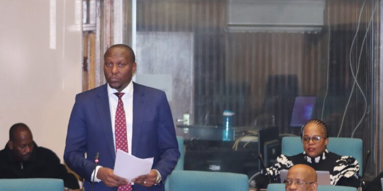 Prime Minister Russell Mmiso Dlamini addresses senators during the debate on the 1st Quarter Performance Report at Parliament in Lobamba.