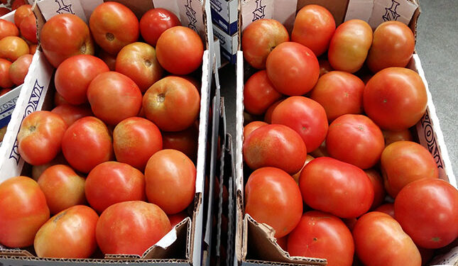 Box of tomatoes