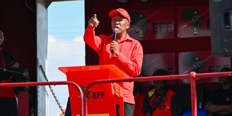 The EFF President and Commander in Chief, Julius Malema addressing fighters at the Seshego Ward 13 Tshela Thupa Rally. Photo: X/@Julius_S_Malema