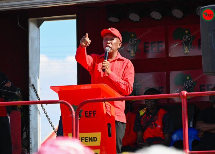 The EFF President and Commander in Chief, Julius Malema addressing fighters at the Seshego Ward 13 Tshela Thupa Rally. Photo: X/@Julius_S_Malema