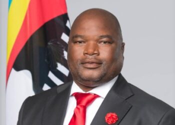 Minister of Public Service, Mabulala Maseko. | File pic