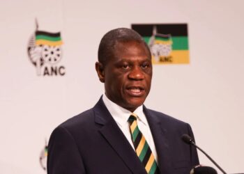 South African Deputy President Paul Mashatile | Pic: News24