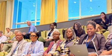 Eswatini delegates from MEPD, MHUD, and local government follow proceedings at the UN HLPF General Debate in New York.