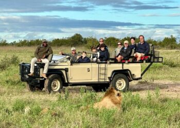 Tourists enjoy a guided safari drive through one of South Africa’s renowned game reserves
