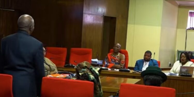 Minister of Justice and Constitutional Affairs Prince Simelane today in Parliament.