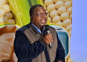 Ministry of Agriculture PS Sedney Simelane. File pic