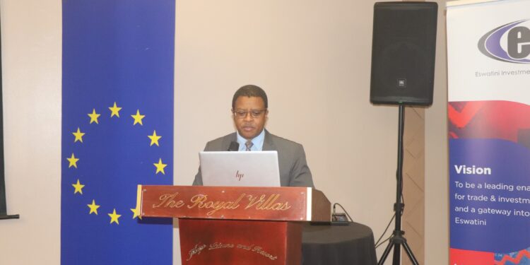 Eswatini Investment Promotion Authority CEO Sibani Mngomezulu