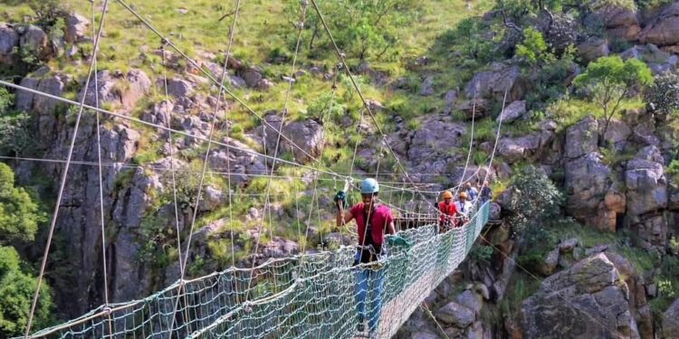 Local residents enjoying the canopy tours