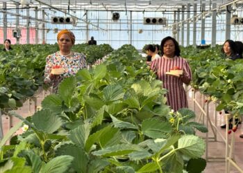 Inkhosikati LaMatsebula during the cultural tour in Yokohama, Japan.