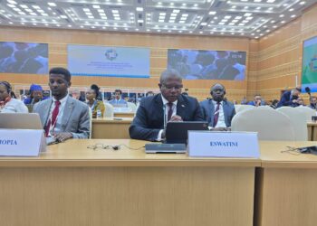 Minister of Commerce, Industry and Trade Manqoba Khumalo addressing delegates during the United Nations Conference on Landlocked Developing Countries in Ashgabat, Turkmenistan.