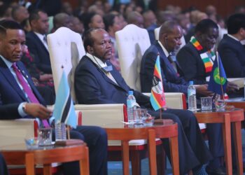 His Majesty King Mswati III seated during discussions at the 45th Ordinary SADC Summit in Antananarivo, Madagascar.