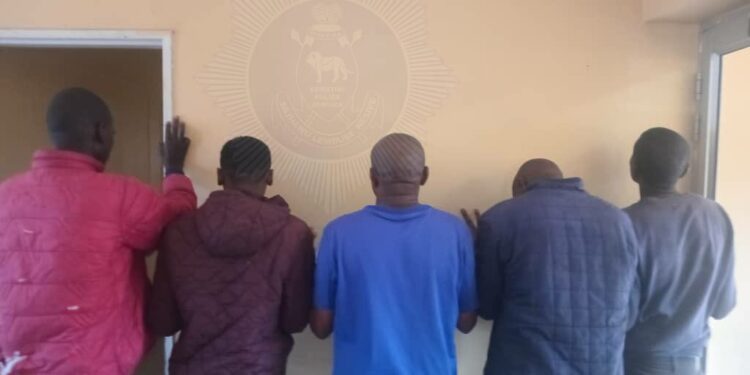 Five men arrested by Sidvokodvo police for possession of stolen cattle carcasses near Tri-Cash.