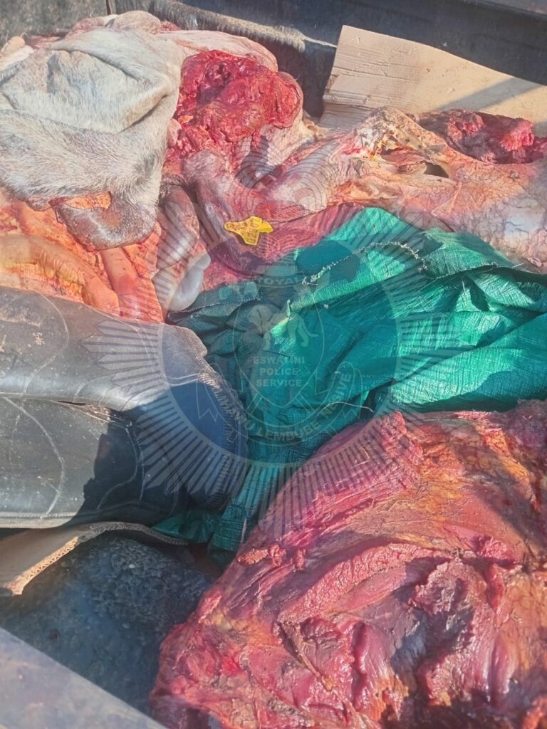Two freshly slaughtered cow carcasses recovered by police during a stock theft operation near Mkhondvo River.