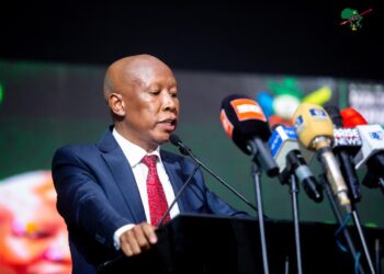Julius Malema speaks to Nigerian lawyers in Enugu, calling for African unity and cooperation to address migration and economic challenges.
